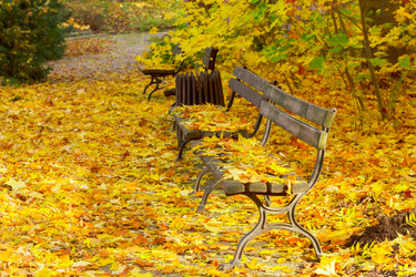 Similar image 11898274