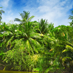 Similar image 11888396