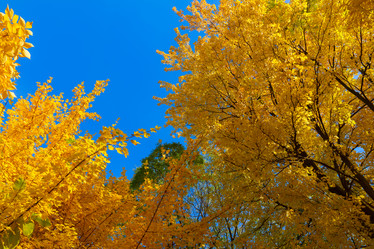 Similar image 11899663