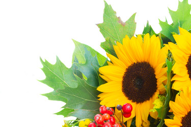 Similar image 11900315