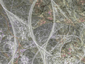 Similar image 11894425