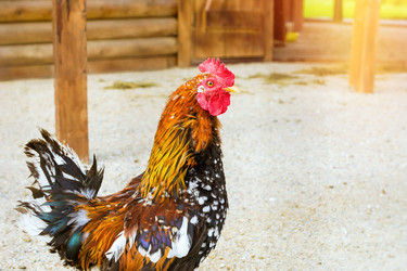 Similar image 11886773