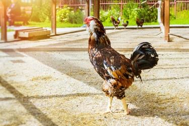 Similar image 11886774