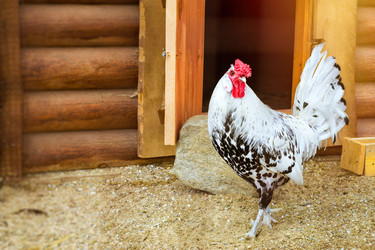 Similar image 11886775