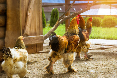 Similar image 11886776