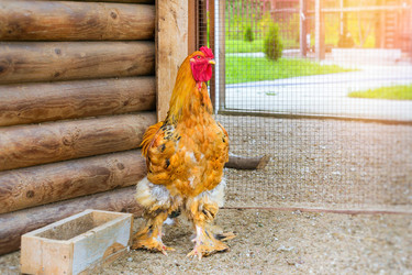 Similar image 11886795