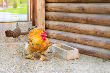 Similar image 11886796