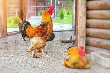 Similar image 11886797