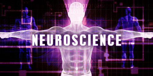 Similar image 11920183