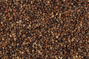 Similar image 11902805