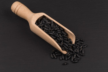 Similar image 11902832