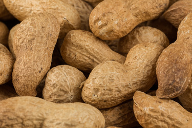 Similar image 11899273