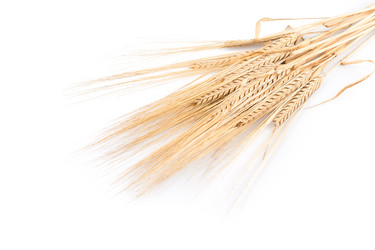 Similar image 11899274