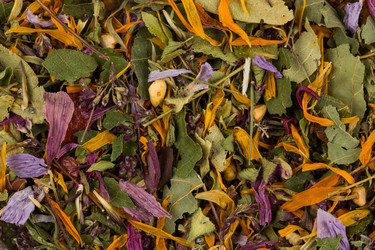 Similar image 11902912