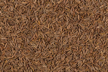 Similar image 11902922