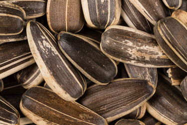 Similar image 11902940