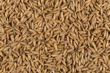 Similar image 11902941