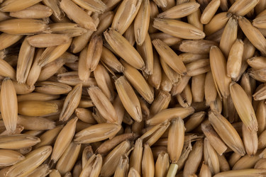 Similar image 11902943