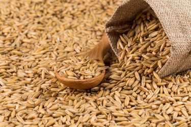 Similar image 11902945