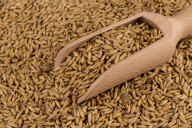 Similar image 11899101