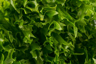 Similar image 11899103