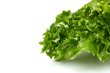 Similar image 11899153