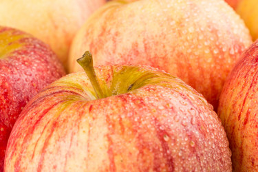 Similar image 11899161