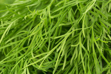 Similar image 11899311