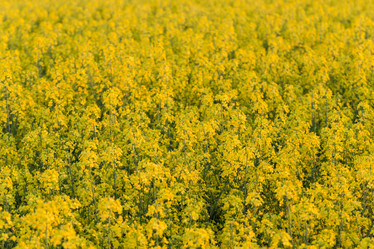 Similar image 11899865