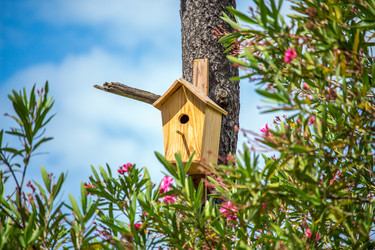 Similar image 11881356