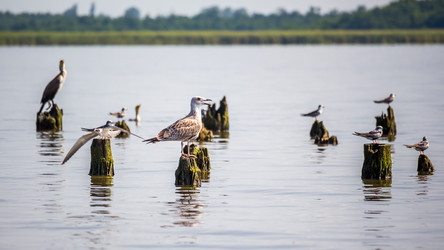 Similar image 11881366