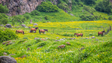 Similar image 11881392