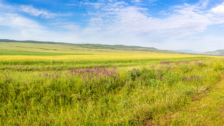 Similar image 11881395