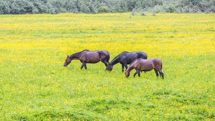 Similar image 11881396