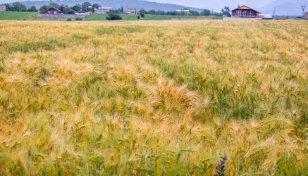 Similar image 11881399