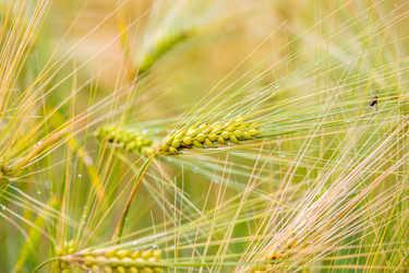 Similar image 11881405