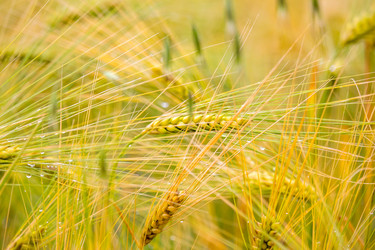 Similar image 11881408