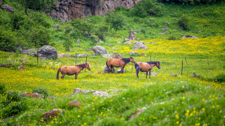 Similar image 11881412