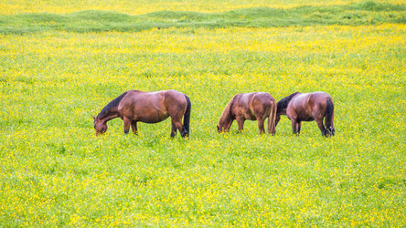 Similar image 11881414