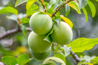 Similar image 11881363