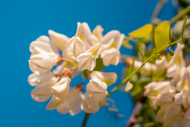 Similar image 11896689