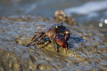 Similar image 11881370