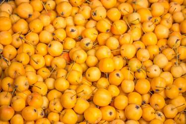 Similar image 11896647