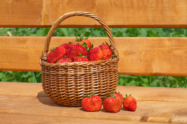 Similar image 11886710