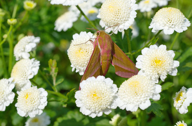 Similar image 11886711