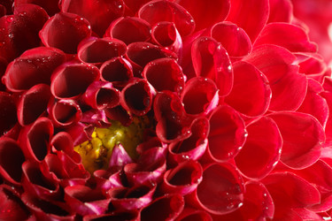 Similar image 11881267