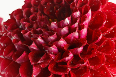 Similar image 11881268