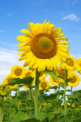 Similar image 11886713