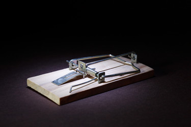 Similar image 11886716