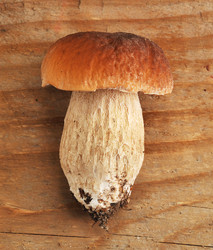 Similar image 11887425